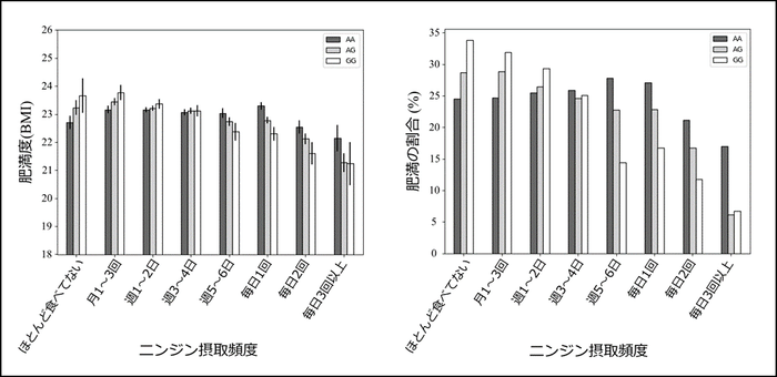 図2 ニンジンの摂取頻度およびrs4445711遺伝子型と肥満度・肥満者の割合の関連