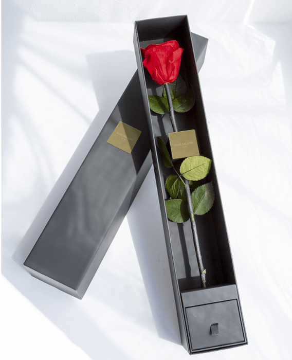 The  One Special Edition 税別¥20,000