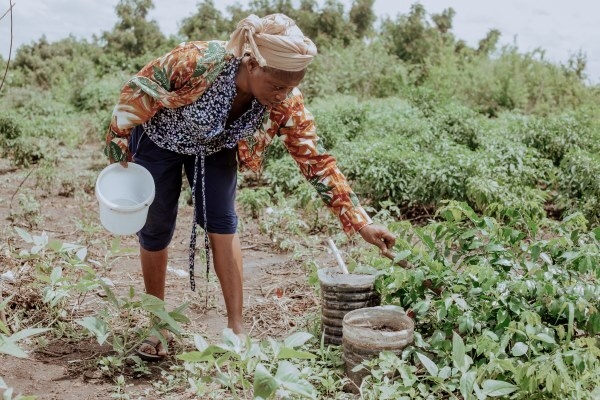 『レインフォレスト・アライアンス認証』の決定版、最終章をWeb公開