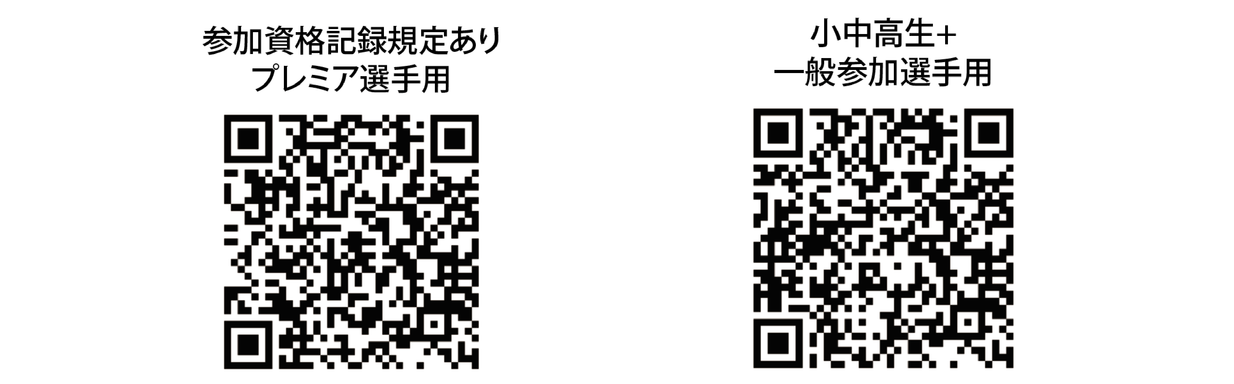 17日公式試合 参加申し込みフォーム(プレミア選手用)/17日公式試合 参加申し込みフォーム(小中高生+一般参加選手用)