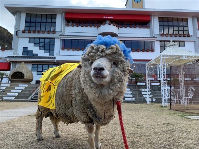 ▲鬼の変装をしたヒツジ