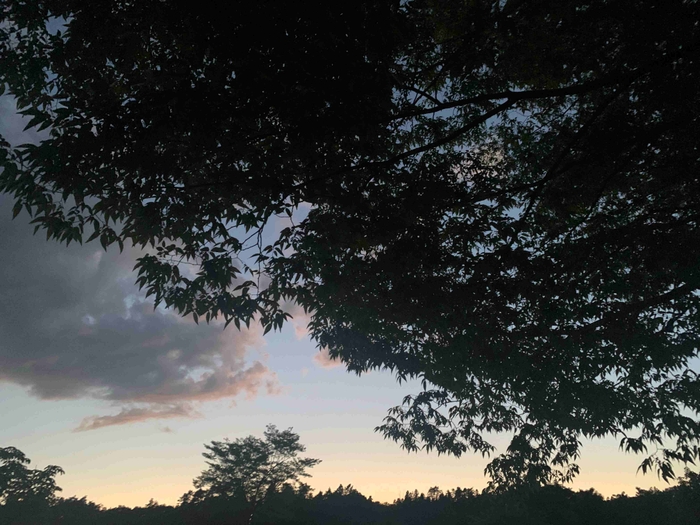 朝や夕方にはマジックアワーの景色をお楽しみいただけます