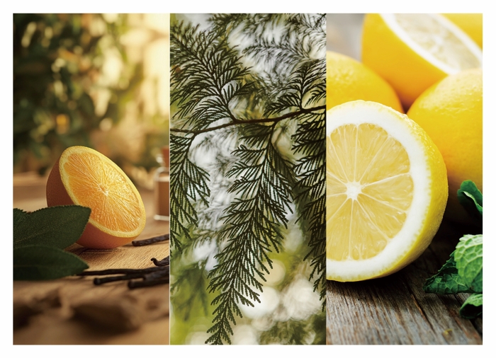 マンダリン・レモン・シダーウッドの香り