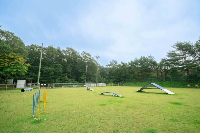 ドッグラン&アジリティ