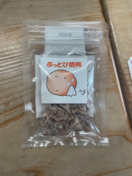 ぶっとび梅(楮山信子)