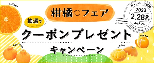 JAタウン 柑橘フェア