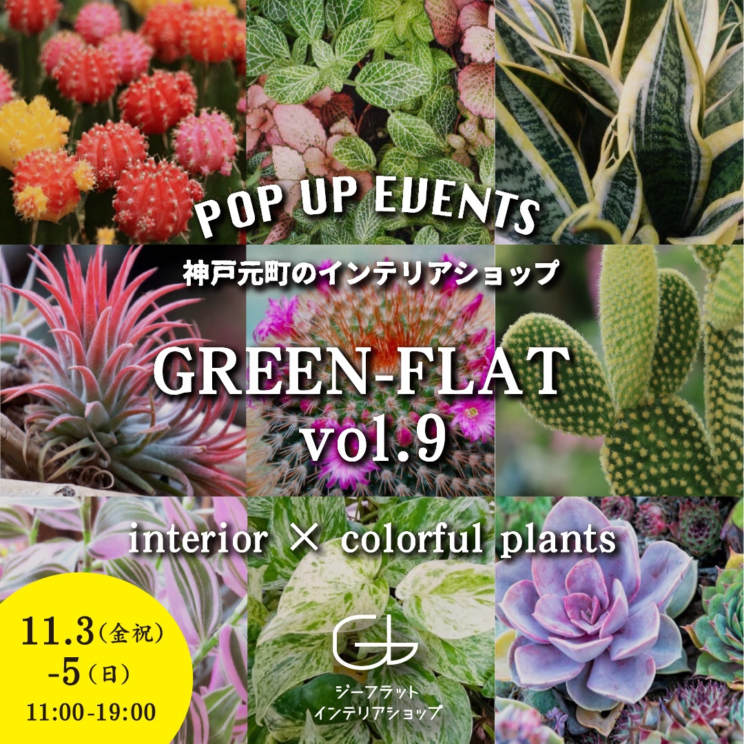 『GREEN-FLAT vol.9~interior×colorful plants』2