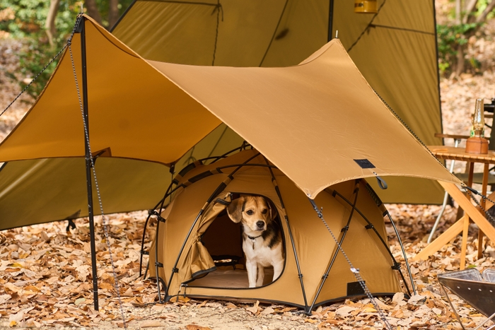 Wan&Co. ブランド誕生