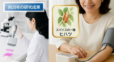 大正製薬　約20年にわたるヒハツ由来ピペリンの 研究成果について、血管を専門とした学術集会で発表