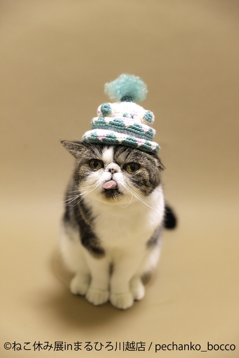 展示作品:pechanko_bocco