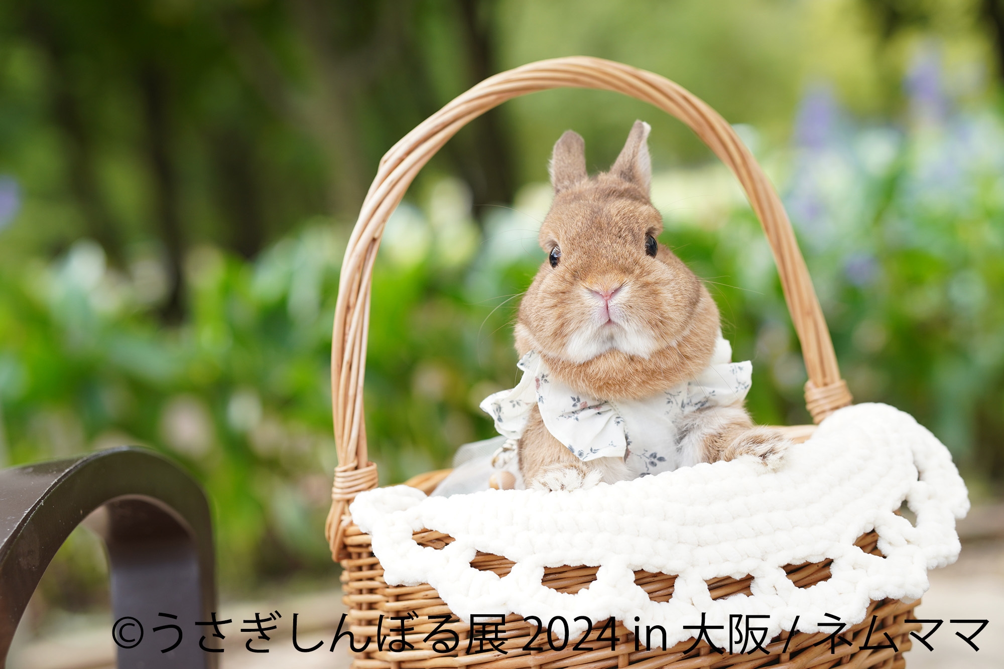 展示作品(7)