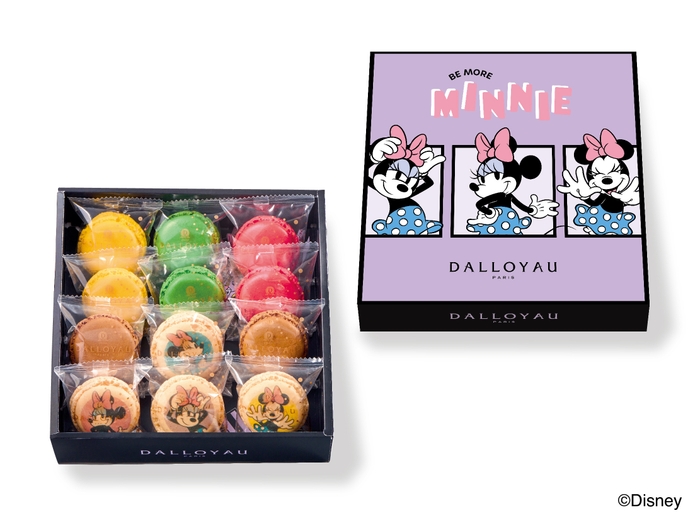 マカロン詰め合わせ(12個入)/ミニーマウス