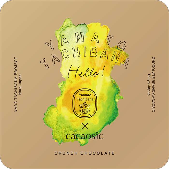 大和橘ロッシェ　デザイン