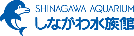 しながわ水族館