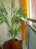 【納入事例レポート】　あ！ここにも杉田エース！ Vol.6新築マンションをモデルルームからトータルコーディネート！スタイリッシュな街並みにも貢献できるVE案からの商品納入!!