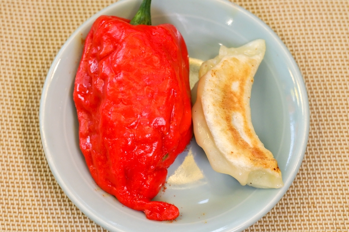 通常の焼き餃子(右)の約4倍のジャンボサイズ!