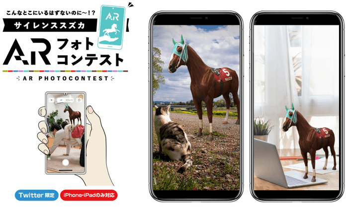 フォトコン イメージ