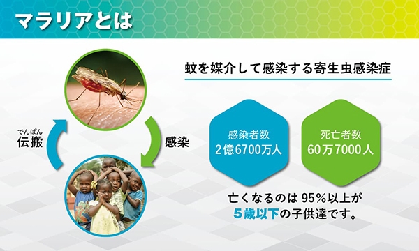 マラリアとは?