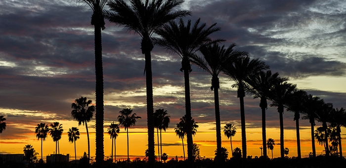 【旅工房】目玉ツアー2:アナハイム5日間