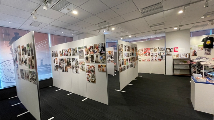 会場写真11 飼い猫写真コーナー