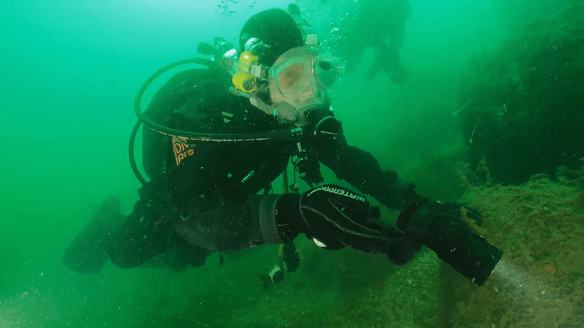 よゐこ 濱口さんが宮島の海に潜って生物を調査!