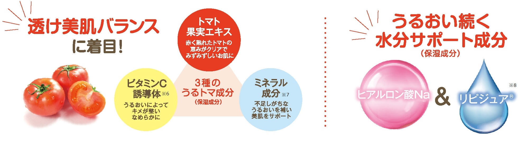 透け美肌を叶える!うるトマエッセンス層