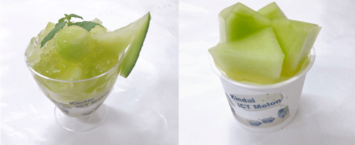 近大ICTメロンを使用した、「メロンのジュレ」(左)と「メロンのシャーベット」(右)