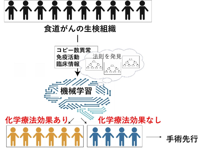 図3 ゲノム情報を用いた化学療法の効果予測