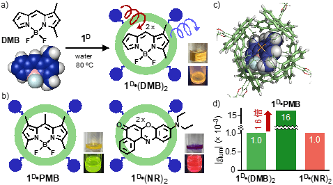 図3(a)らせん型カプセル1DによるDMBの内包とその溶液写真(上:室内光下,下:光照射下) (b)キラル蛍光物性を示す内包体1D・PMBと1D・(NR)2とそれらの溶液写真 (c)1D・PMBの立体構造(内部空間周辺の拡大図) (d)内包体におけるCPLバンドの強度比較