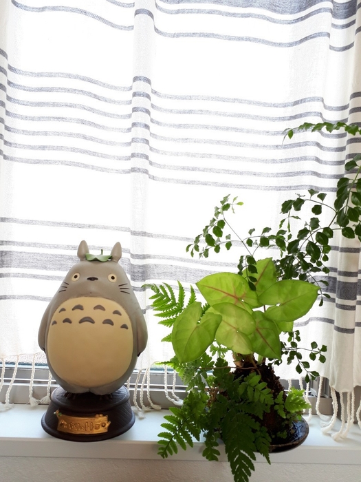 観葉植物と一緒に並べたらトトロの世界観がお部屋に広がります。