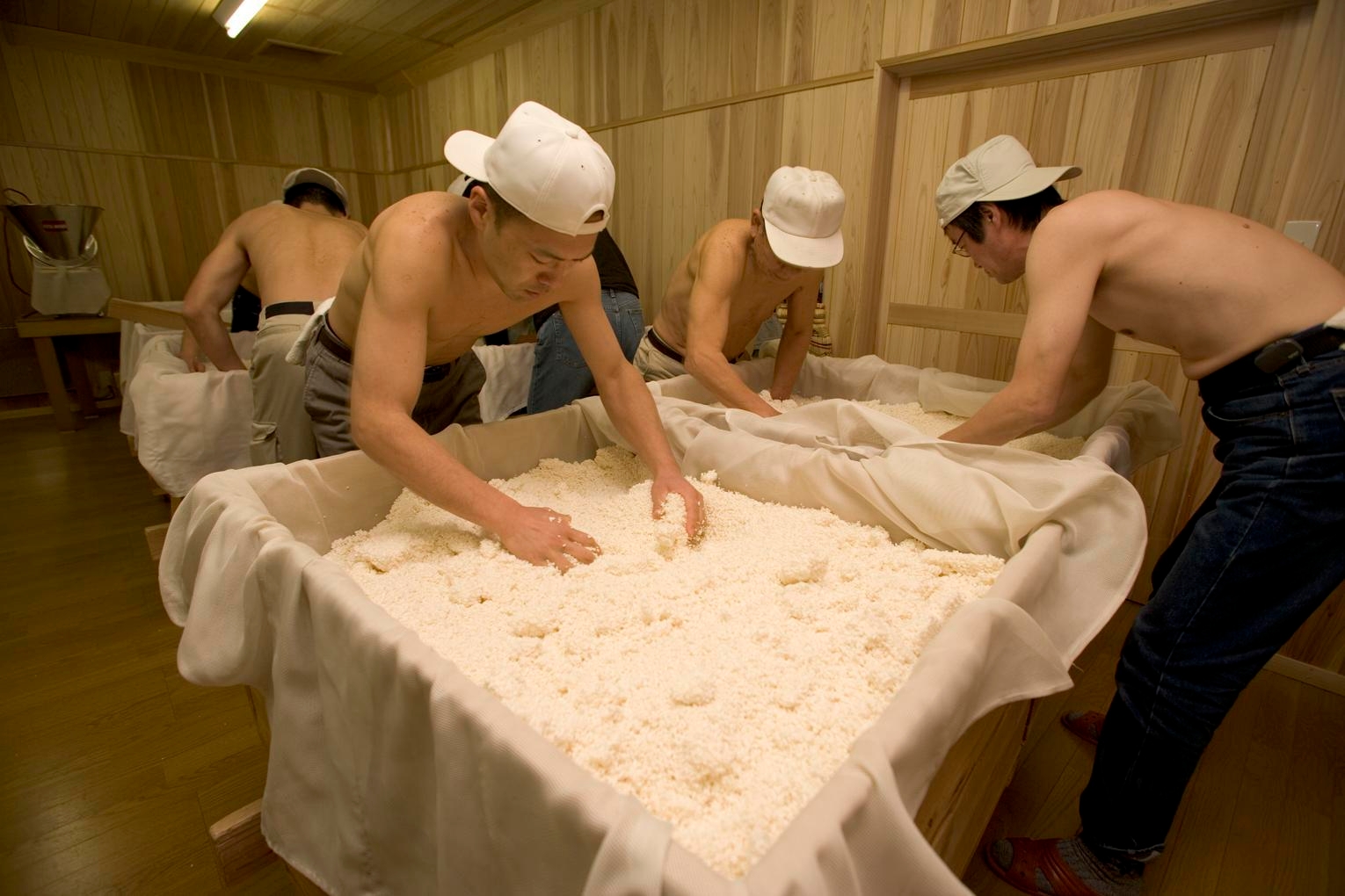 第一酒造 酒造り(麹)