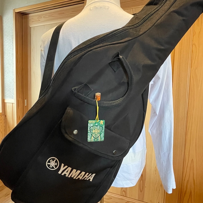 FLASH EVA01 ピックキーホルダー 緑 使用例