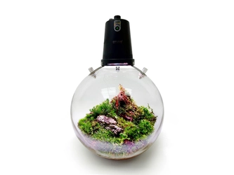 EnmeiPro株式会社：GPEC 2024でOPCOM社の 革新的な植物育成インテリアソリューションを出展