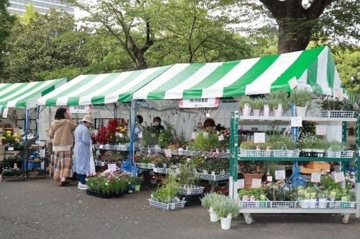 昨年の出展の様子