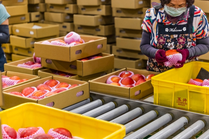 厳しい基準を通ったマンゴーのみ日本輸出