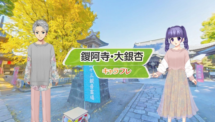 『鑁阿寺』の景観が秋の装いに衣替えし、荘厳な大銀杏が見学できます