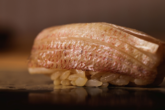 屋形船「鮨 おりがみ」のどぐろ