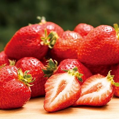 果樹蔵ファーム朝倉 あまおう