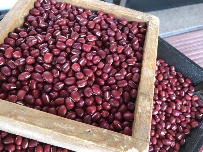 丹波大納言小豆 ※画像はイメージです。