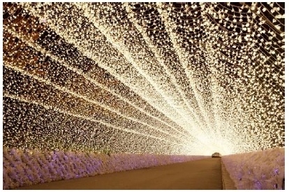 なばなの里 イルミネーション(イメージ)