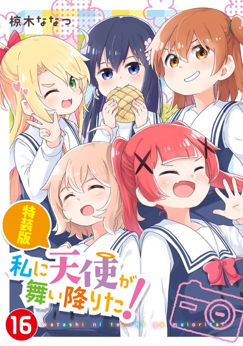 『私に天使が舞い降りた！』第16巻　特装版