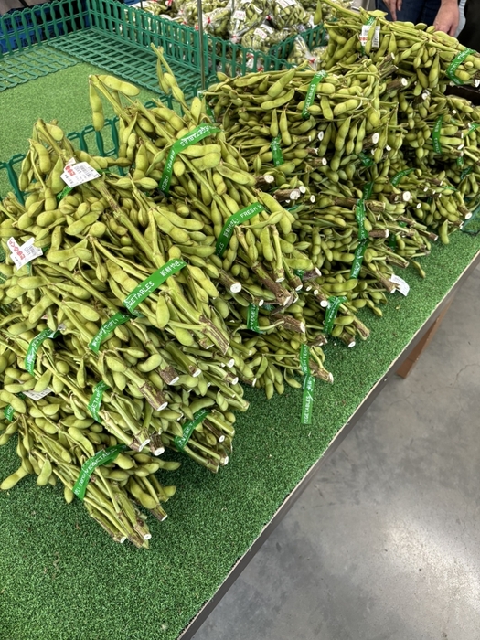 枝豆掴み放題　イメージ