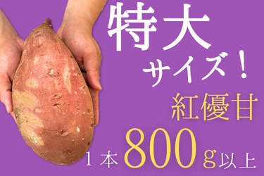 茨城県「いいものいっぱい広場」ショップの商品 約200点が「お客様送料負担なし」で販売中！