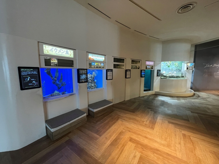 「おもしろ生物」水槽5~10