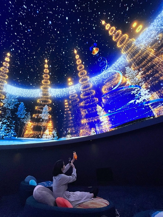 上映の様子1