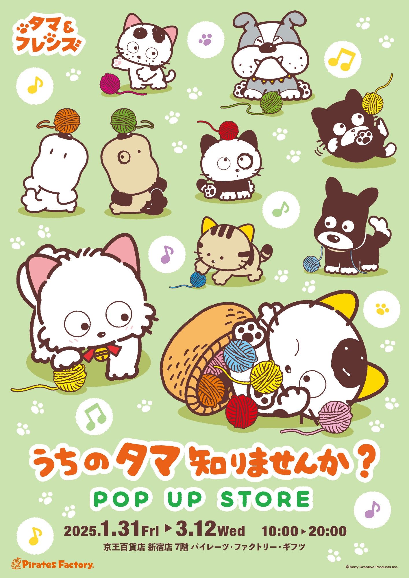 うちのタマ知りませんか?POP UP STORE メインビジュアル
