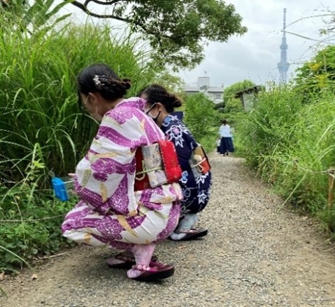 虫ききの会 過去開催の様子