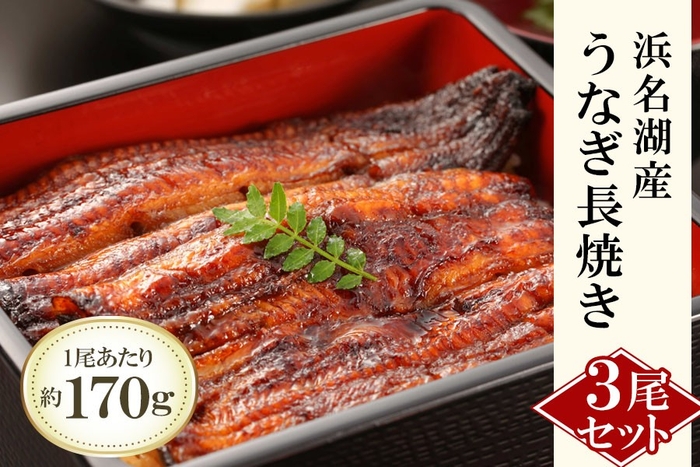 浜名湖産うなぎ