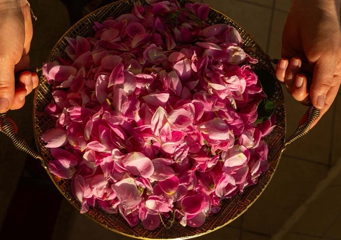 ローズ・ラベンダー・よもぎから選べるハーブ蒸し