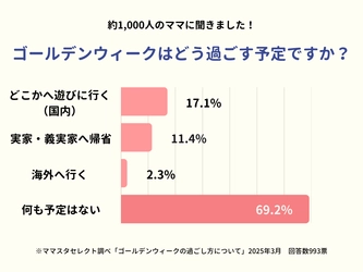 2025年ゴールデンウィーク後半戦、何をして過ごしますか?【ママスタアンケート】
